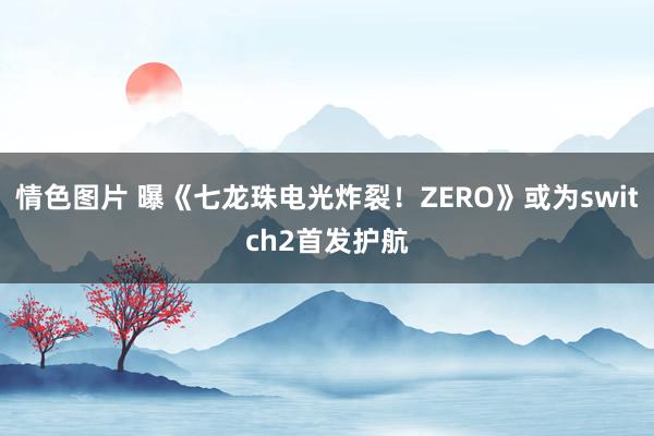 情色图片 曝《七龙珠电光炸裂！ZERO》或为switch2首发护航