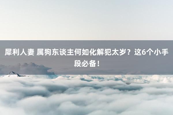 犀利人妻 属狗东谈主何如化解犯太岁？这6个小手段必备！