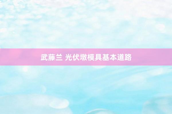 武藤兰 光伏墩模具基本道路