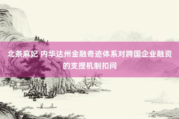 北条麻妃 内华达州金融奇迹体系对跨国企业融资的支捏机制扣问