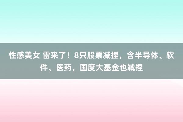 性感美女 雷来了！8只股票减捏，含半导体、软件、医药，国度大基金也减捏