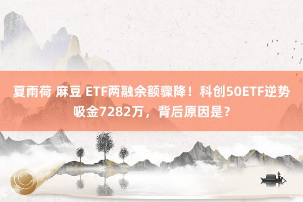 夏雨荷 麻豆 ETF两融余额骤降！科创50ETF逆势吸金7282万，背后原因是？