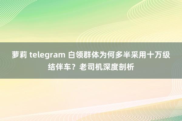 萝莉 telegram 白领群体为何多半采用十万级结伴车？老司机深度剖析