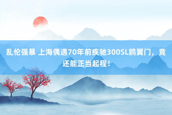 乱伦强暴 上海偶遇70年前疾驰300SL鸥翼门，竟还能正当起程！