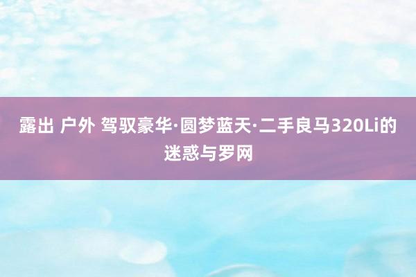 露出 户外 驾驭豪华·圆梦蓝天·二手良马320Li的迷惑与罗网