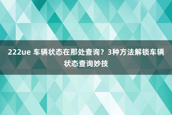 222ue 车辆状态在那处查询？3种方法解锁车辆状态查询妙技