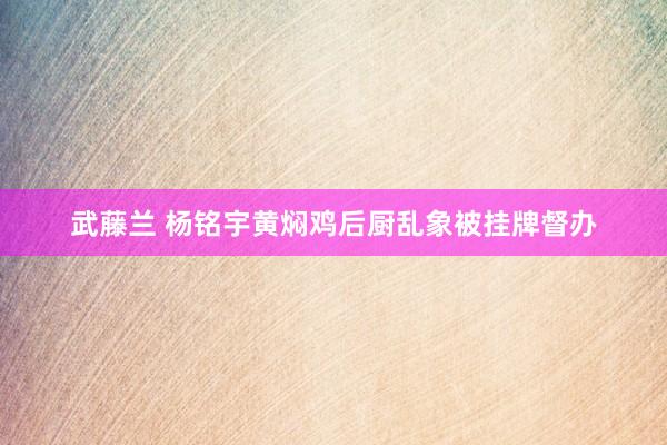 武藤兰 杨铭宇黄焖鸡后厨乱象被挂牌督办