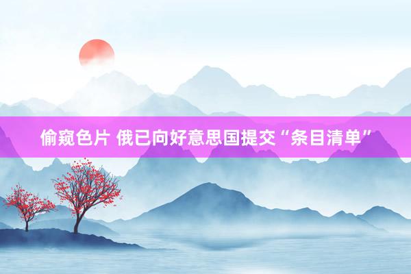 偷窥色片 俄已向好意思国提交“条目清单”