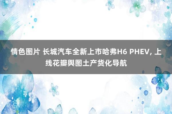 情色图片 长城汽车全新上市哈弗H6 PHEV, 上线花瓣舆图土产货化导航