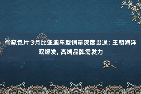 偷窥色片 3月比亚迪车型销量深度贯通: 王朝海洋双爆发, 高端品牌需发力
