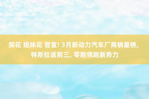 探花 姐妹花 官宣! 3月新动力汽车厂商销量榜, 特斯拉返前三, 零跑领跑新势力