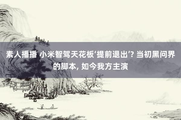 素人播播 小米智驾天花板‘提前退出’? 当初黑问界的脚本, 如今我方主演