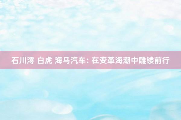 石川澪 白虎 海马汽车: 在变革海潮中雕镂前行
