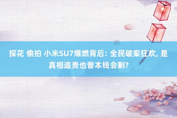 探花 偷拍 小米SU7爆燃背后: 全民破案狂欢, 是真相追责也曾本钱会剿?