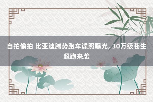 自拍偷拍 比亚迪腾势跑车谍照曝光, 30万级苍生超跑来袭