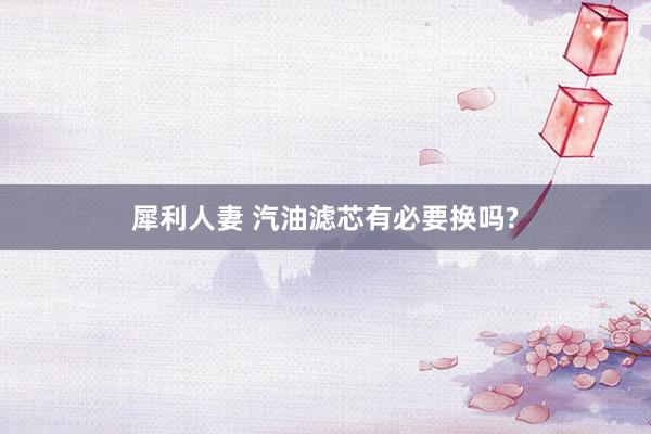 犀利人妻 汽油滤芯有必要换吗?
