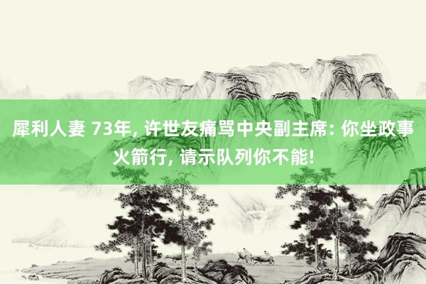 犀利人妻 73年, 许世友痛骂中央副主席: 你坐政事火箭行, 请示队列你不能!