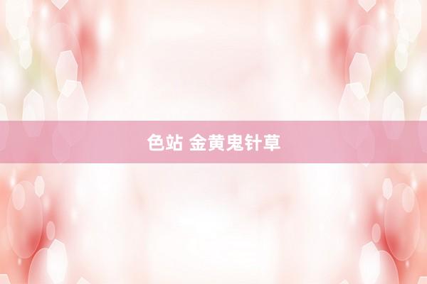 色站 金黄鬼针草