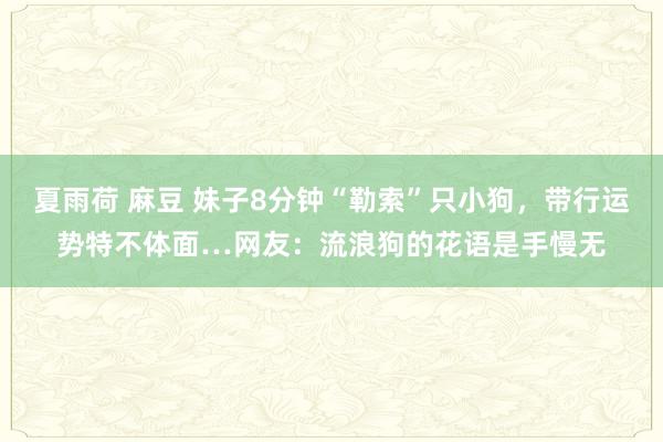 夏雨荷 麻豆 妹子8分钟“勒索”只小狗，带行运势特不体面…网友：流浪狗的花语是手慢无