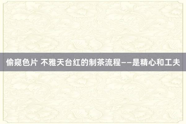 偷窥色片 不雅天台红的制茶流程——是精心和工夫