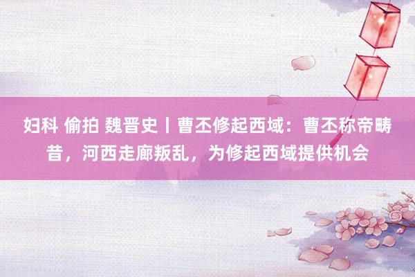 妇科 偷拍 魏晋史丨曹丕修起西域：曹丕称帝畴昔，河西走廊叛乱，为修起西域提供机会