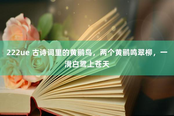 222ue 古诗词里的黄鹂鸟，两个黄鹂鸣翠柳，一滑白鹭上苍天
