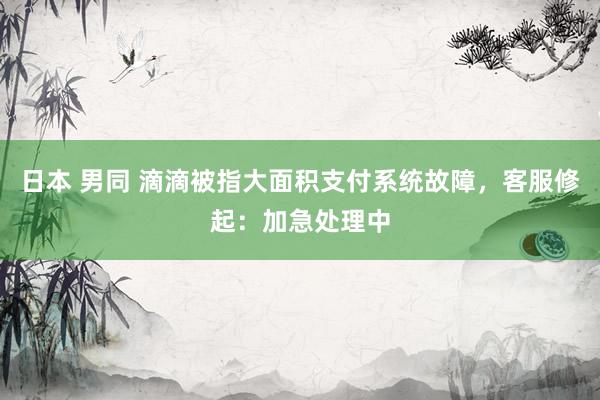 日本 男同 滴滴被指大面积支付系统故障，客服修起：加急处理中