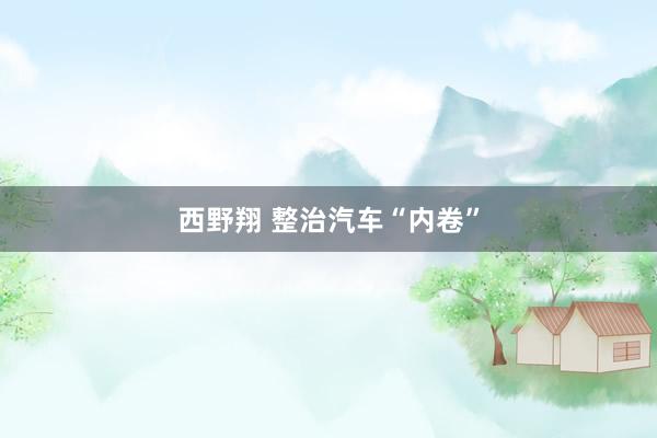 西野翔 整治汽车“内卷”