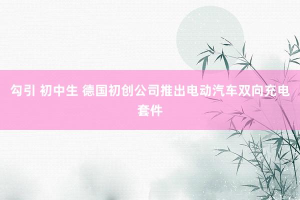 勾引 初中生 德国初创公司推出电动汽车双向充电套件